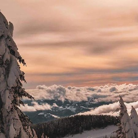 Apartments Zivkovic, Milmari D Kopaonik Buitenkant foto