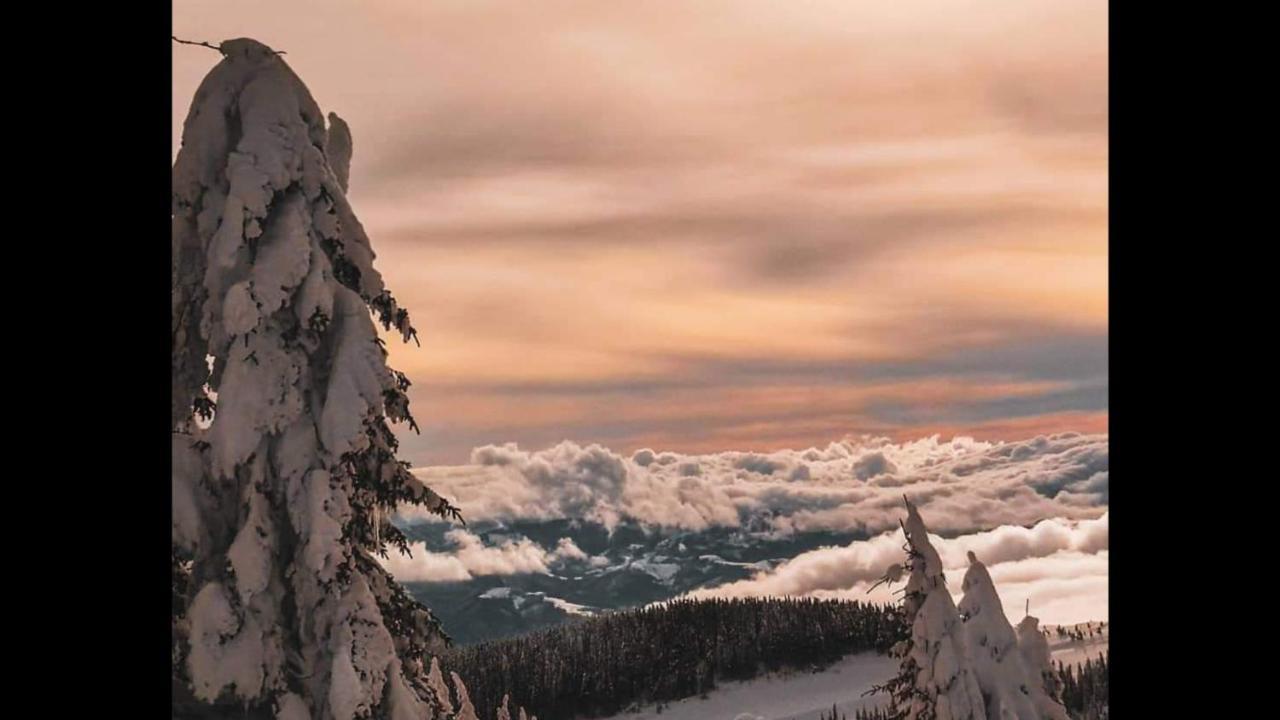Apartments Zivkovic, Milmari D Kopaonik Buitenkant foto
