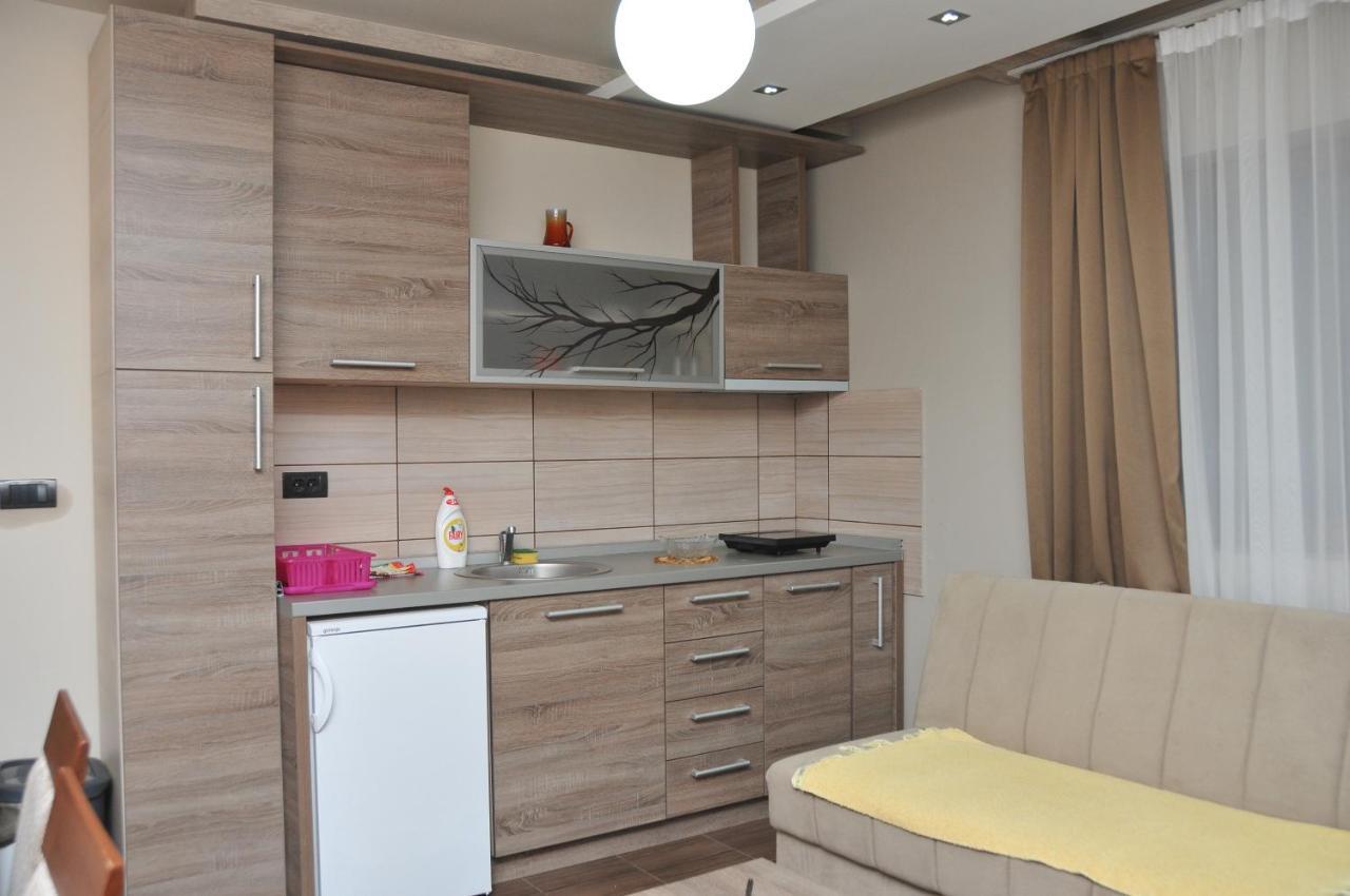 Apartments Zivkovic, Milmari D Kopaonik Buitenkant foto